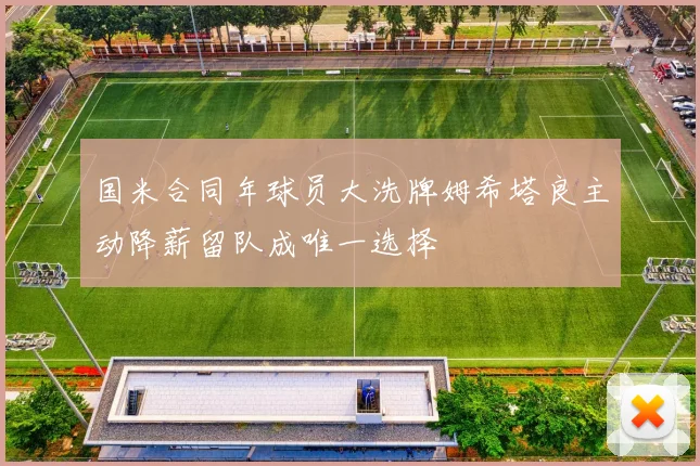 国米合同年球员大洗牌姆希塔良主动降薪留队成唯一选择