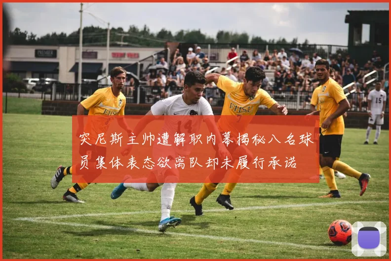 突尼斯主帅遭解职内幕揭秘八名球员集体表态欲离队却未履行承诺